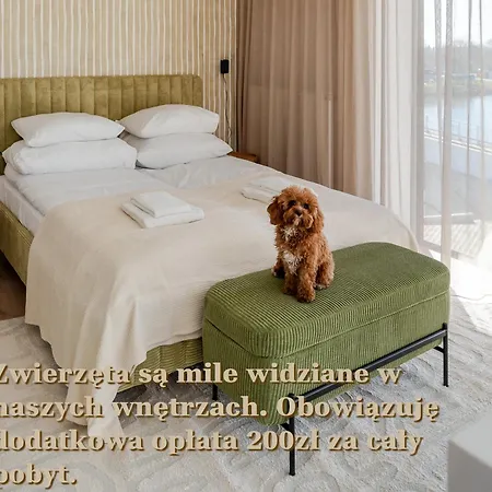 Forest Surfingbird Kołobrzeg