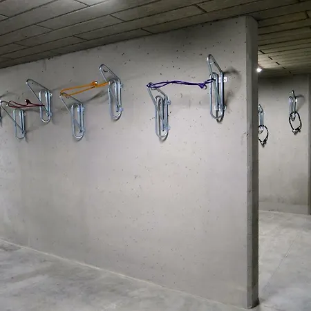 Forest Surfingbird Kołobrzeg