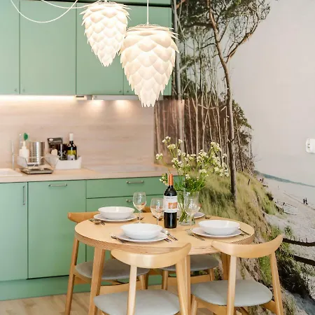 Forest Surfingbird Kołobrzeg