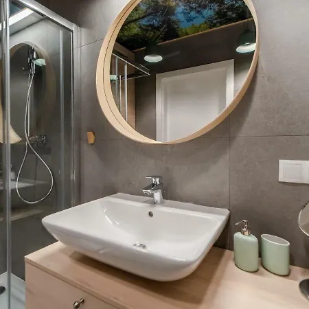 Forest Surfingbird Kołobrzeg