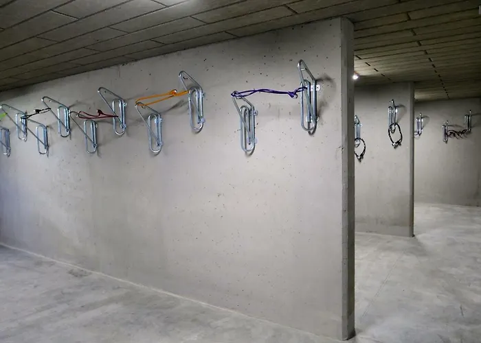 Forest Surfingbird Kołobrzeg