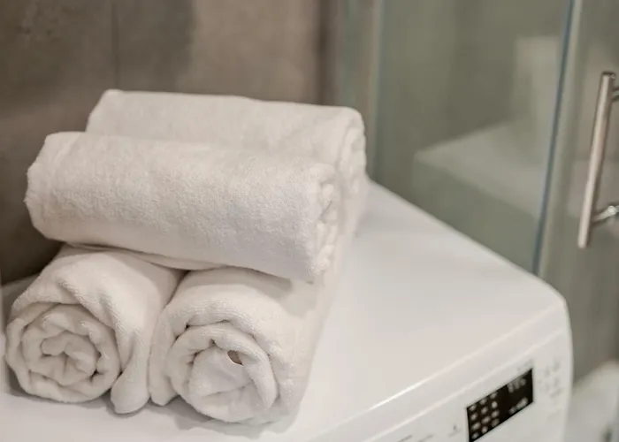 Forest Surfingbird Kołobrzeg