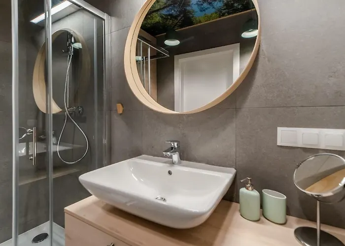 Forest Surfingbird Kołobrzeg